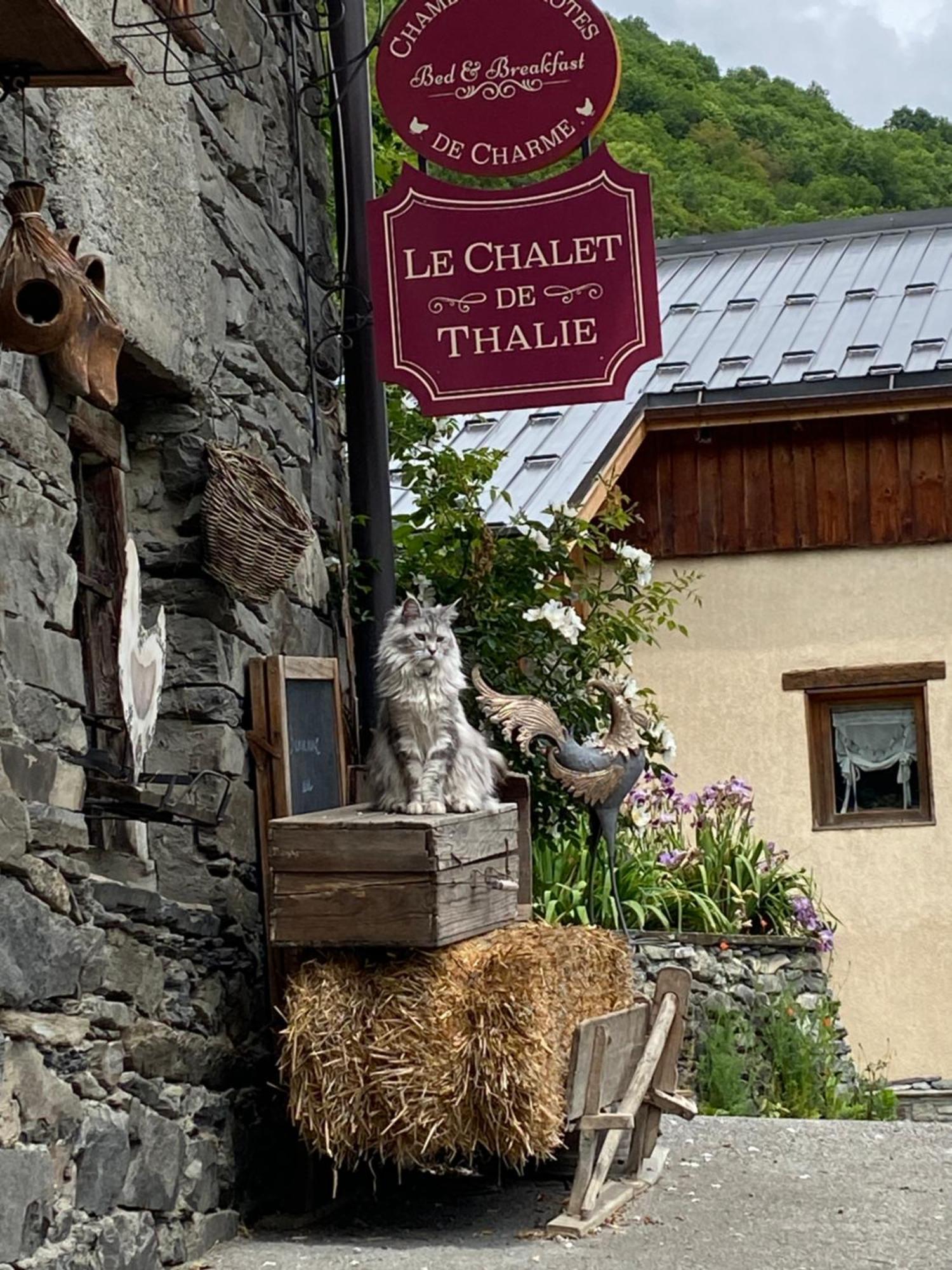 Le Chalet De Thalie Бур-Сен-Морис Экстерьер фото